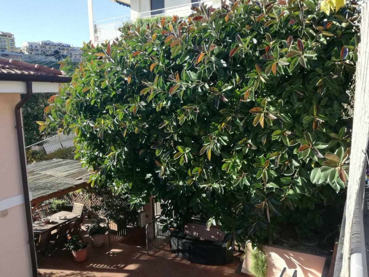 Villa Bruna B&B サンレモ エクステリア 写真